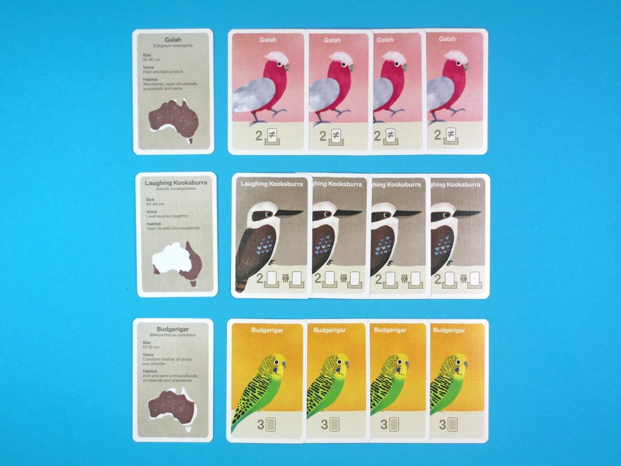 Busy Beaks 3 Busy Beaks - Image 3