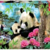 Educa 1000pc - Morning Panda Puzzle