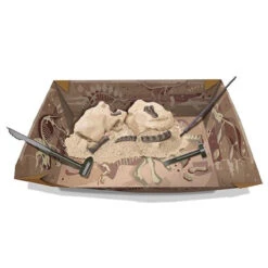 4M - Dig A Dinosaur - Brachiosaurus -Children Toys Shop FSG3237 3 web ada780a9 e710 4917 857f 346a08112620 2000x 64247.1651584714