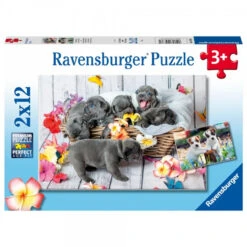 Ravensburger 2x12pc - Cute Little Furballs Puzzle