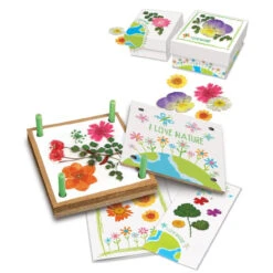 4M - Green Creativity - Pressed Flower Art -Children Toys Shop c4567 FP RGB hires 2000x 46760.1650573226