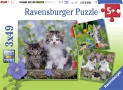 Ravensburger 3x49pc - Kittens Puzzle